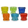 Ceramo 5.5" Rainbow Orchid Pot RNOP-5-ASST